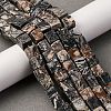 Natural Map Stone Beads Strands X-G-T139-8x8-45A-1