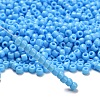 TOHO 6/0 Round Beads X-SEED-TR06-0043-2