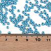 8/0 Czech Opaque Glass Seed Beads SEED-N004-003A-16-6