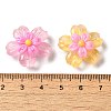 Translucent Resin Decoden Cabochons RESI-M041-09-3