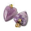 Natural Lepidolite Pendants G-E570-01G-14-2