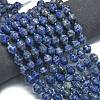 Natural Blue Spot Jasper Beads Strands G-K389-D15-01-2