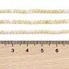 Natural Trochus Shell Beads Strands BSHE-G036-08A-02-4