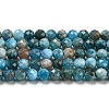 Natural Apatite Beads Strands G-K185-02-4MM-01-2
