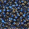Glass Seed Beads X1-SEED-H002-B-D215-3