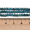 Natural Apatite Beads Strands X-G-E411-36-3mm-02-4
