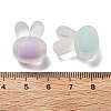 Frosted Transparent Acrylic Beads OACR-A032-21-3