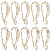 10 Pairs Brass Earring Hooks KK-BBC0025-12A-1