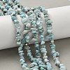 Natural Larimar Beads Strands G-P302-03-7