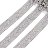 Polyester Hollow Embroidered Lace Trim OCOR-WH0079-13B-1