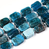 Natural Apatite Beads Strands G-T138-17-1