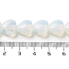 Opalite Beads Strands G-B022-24C-5