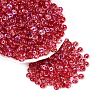 Transparent Colours Glass Seed Beads SEED-Q042-01A-A06-1