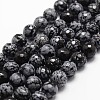 Natural Snowflake Obsidian Beads Strands G-G736-06-8mm-1
