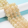 Dyed Natural Malaysia Jade Beads Strands G-G021-02C-11-2