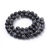 Natural Larvikite Beads Strands X-G-S259-06-12mm-2