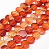 Natural Carnelian Beads Strands G-N0176-01-12x4.5mm-1