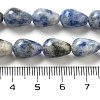 Natural Blue Spot Jasper Beads Strands G-B106-A15-02-5