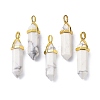 Natural Howlite Pointed Pendants G-G025-01G-43-4