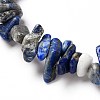 Chip Natural Gemstone Beaded Stretch Bracelets Sets X-BJEW-JB05700-5