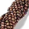 Natural Rainbow Tiger Eye Beads Strands G-NH0002-A01-B05-1