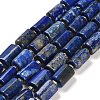 Natural Lapis Lazuli Beads Strands G-G068-A13-01-1