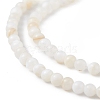 125Pcs Natural Freshwater Shell Beads SHEL-B002-01F-2