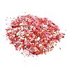 Plastic Candy Sequins/Paillette Chip X-DIY-I019-01B-2