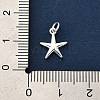 925 Sterling Silver Charms FIND-Z069-04S-A-4