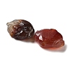 Natural Carnelian Beads G-Q007-01-3