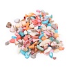 Natural Shell Beadss BSHE-B003-10-1