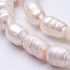 Natural Cultured Freshwater Pearl Beads Strands PEAR-P002-16-3