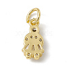 Brass Micro Pave Cubic Zirconia Charms ZIRC-F132-07G-2