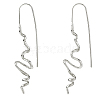 1 Pair Brass Dangle Earrings EJEW-HS0001-29P-1