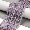 Natural Amethyst Beads Strands G-G155-B02-01-2