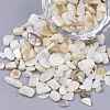 Freshwater Shell Beads LS-SHEL-S266-11-3