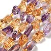 Natural Citrine & Amethyst Beads Strands G-H074-C01-02-1