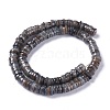 Natural Freshwater Shell Beads Strands BSHE-I016-04A-2