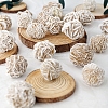 Natural Desert Rose Stone Display Decorations DJEW-PW0009-006A-006-1