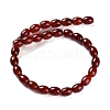 Natural Carnelian Beads Strands G-NH0019-C01-03-2