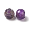 Natural Amethyst Gemstone European Beads G-N342-03M-2