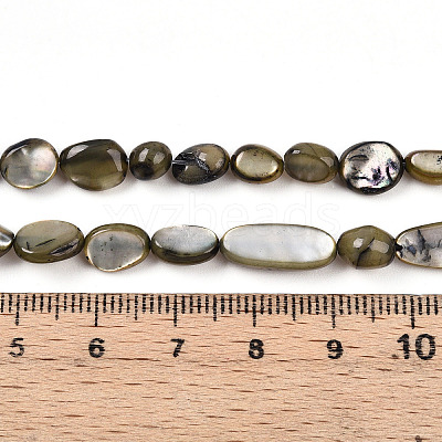 Natural White Shell Beads Strands SHEL-N036-21A-1