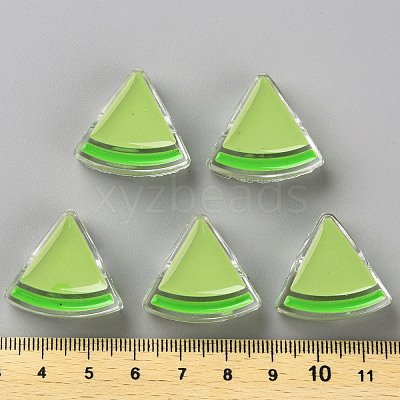 Transparent Enamel Acrylic Beads TACR-S155-001D-1