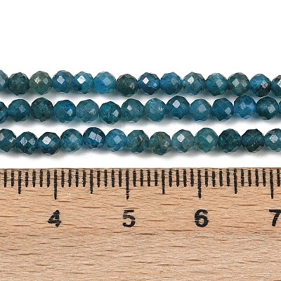 Natural Apatite Beads Strands X-G-E411-36-3mm-02-1