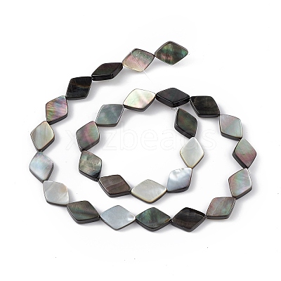Natural Black Lip Shell Beads Strands SHEL-M018-16-1