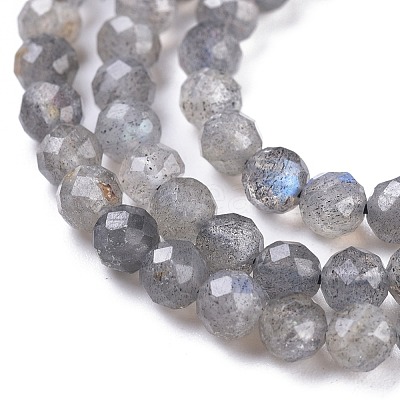 Natural Labradorite Beads Strands X-G-R475-025C-1