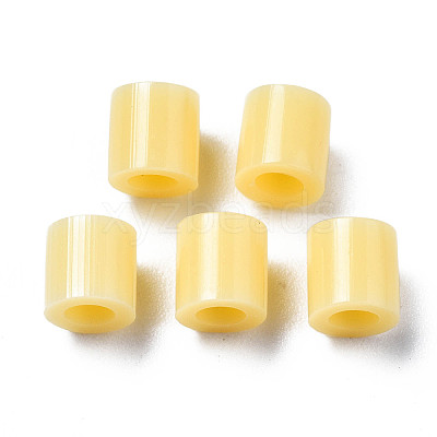 PE Fuse Beads X-DIY-R013-A19-1