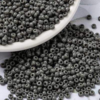 MIYUKI Round Rocailles Beads SEED-X0055-RR0499-1