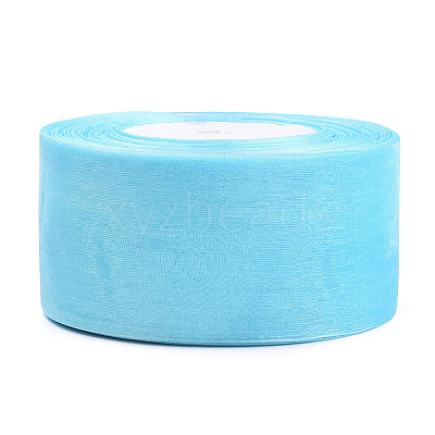 Sheer Organza Ribbon RS50MMY-062-1