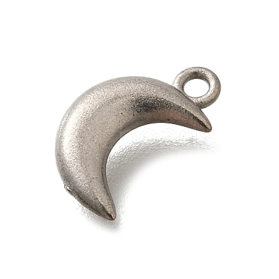 304 Stainless Steel Charms STAS-D310-06P-02-1